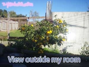 View outside my room