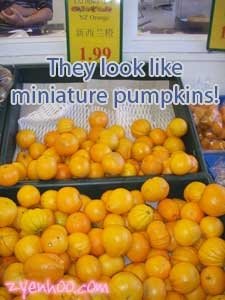 NZ oranges look like miniature pumpkins!
