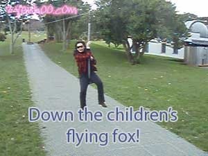 Down the children's flying fox!