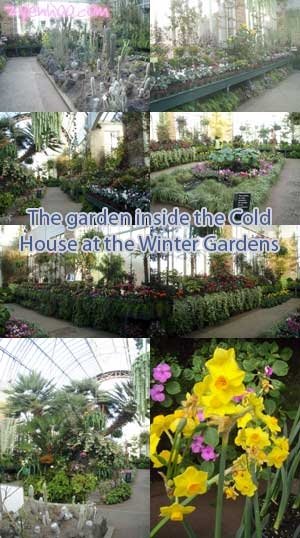 The garden inside the Cold Hosue at the Winter Gardens