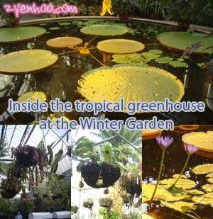 Inside the tropical greenhouse at the Winter Garden