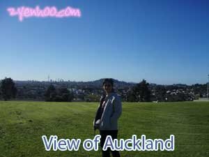 View of Auckland