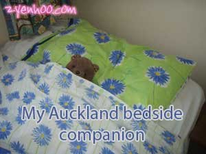 My Auckland bedside companion