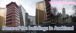Some of the buildings in Auckland