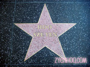 My Hollywood Star