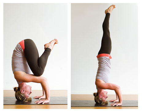 What a tripod and a tripod headstand in yoga should look like. I did not even get as far as the tripod.