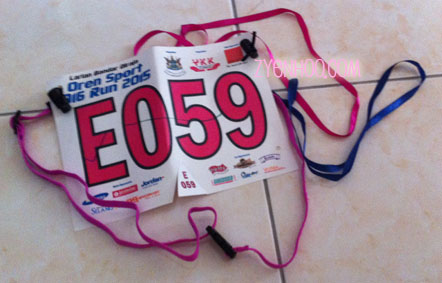 My bib, which only has the number. No identifying name or other information provided during registration. The bib belt is my own. The blue ribbon was given during one of the checkpoints in the run.