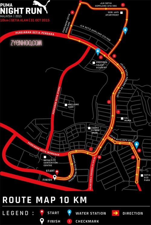 Planned route that was on the PUMA Night Run's website